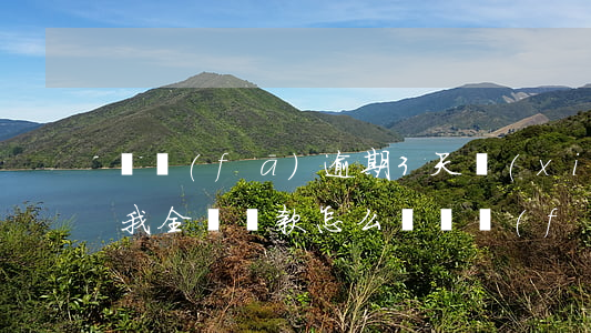 廣發(fā)逾期3天,現(xiàn)在要我全額還款,怎么辦，廣發(fā)逾期3天，需要全額還款？解決方案在這里！